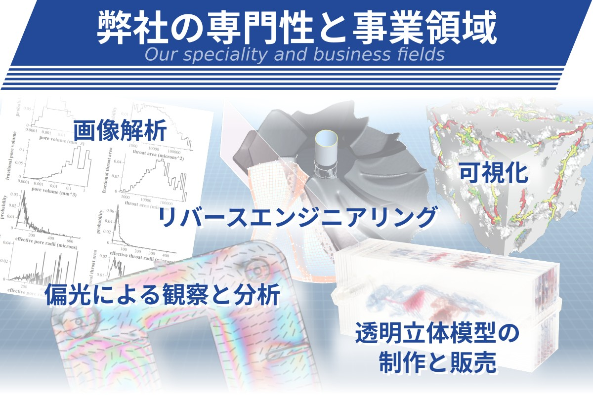 弊社の専門性と事業領域